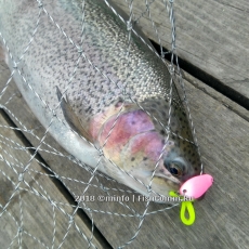 Блесна SV Fishing Lures Koketka (KA30) 30 мм. 3 г. цвет FL04