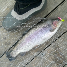 Блесна SV Fishing Lures Koketka (KA30 HW) 30 мм. 3.8 г. цвет FL04