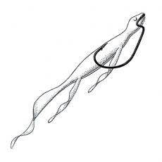 Крючок офсетный Owner 5140 BC №2 J-Hook (6 шт.)