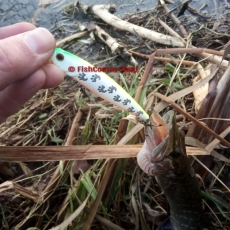 Воблер Fishycat Bobcat 100SP X09
